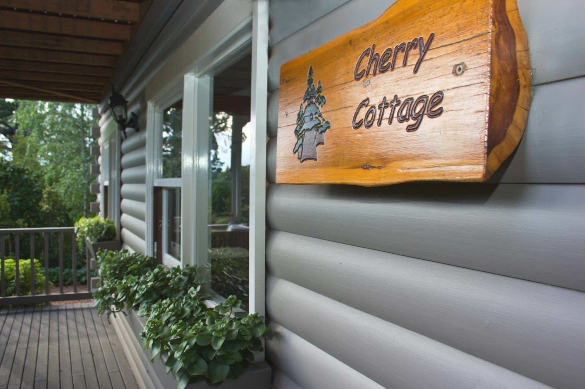 Cherry Cottage - Leura Exterior photo